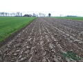 Rabe 5-schaar demo-ploeg