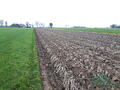 Rabe 5-schaar demo-ploeg